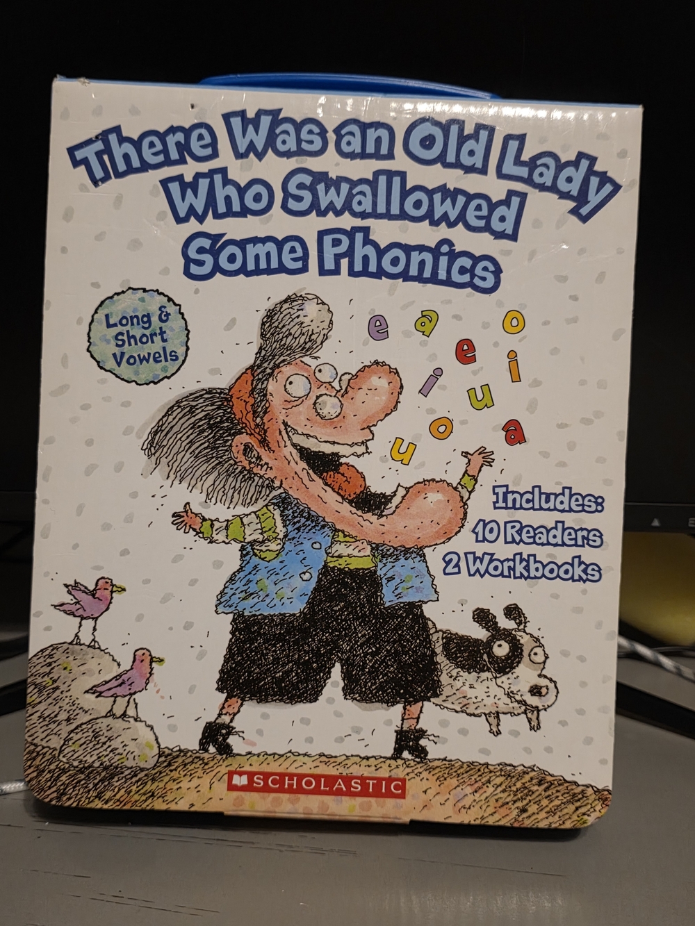 There Was an Old Lady Who Swallowed Some Phonics - Box Set